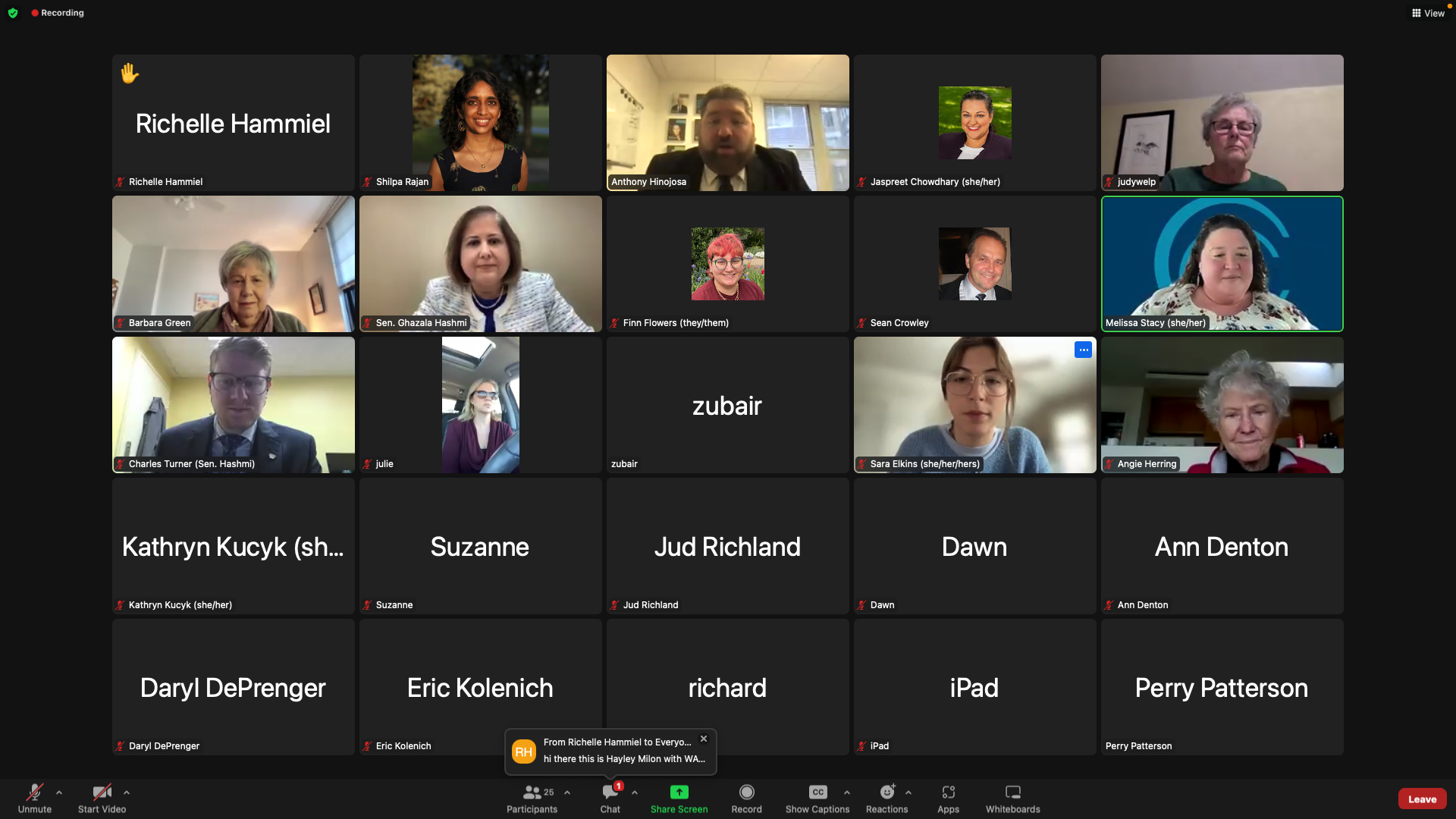 Screenshot of participants on a Zoom call for the Virginia hearing.